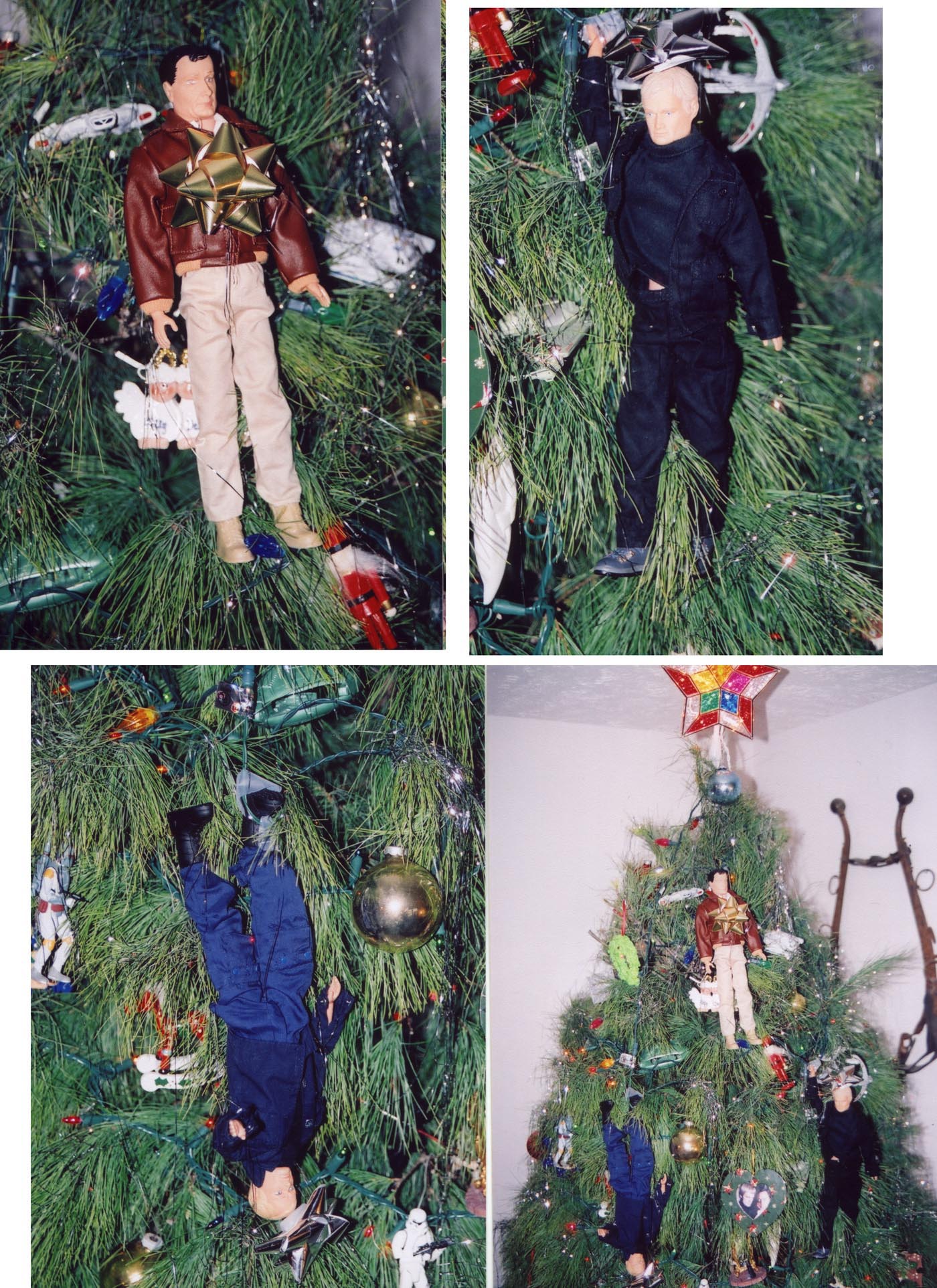 inthetree.jpg